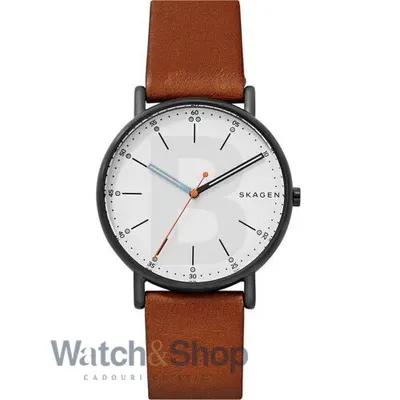 Ceas Skagen Skagen Signature Big Brown SKW6374