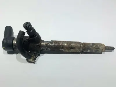 Injector H8200294788 Renault Clio 3 (2005-2009) 1.5 dci K9K (282)