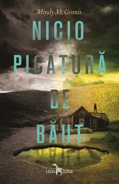 eBook Nicio picatura de baut