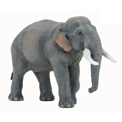 Figurina Papo Elefant Asiatic