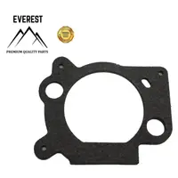 Garnitura Carburator (Aer) Briggs&stratton Ohv Everest