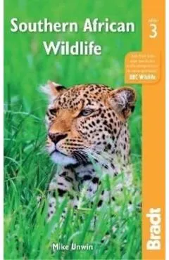 Southern African Wildlife
