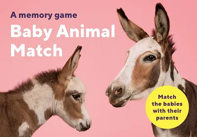 Joc de memorie - Baby Animal Match