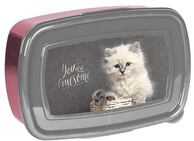 Cutie pentru mâncare Paso Cat - Pisică albă. 750 ml