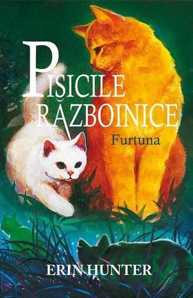 Pisicile războinice. Furtuna (Vol.4) - Paperback brosat - Erin Hunter