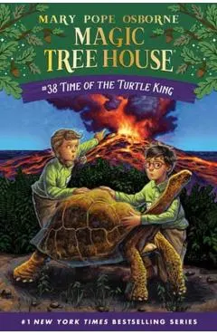 Time of the Turtle King