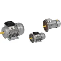 Motor electric trifazic asincron AIR 56B2 380V 0,25KW 3000r./min. 1081