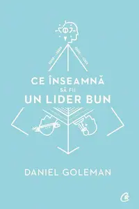 Ce înseamnă să fii un lider bun - Paperback brosat - Daniel Goleman