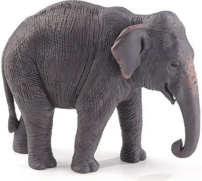 Figurina Mojo Wildlife - Elefantul asiatic