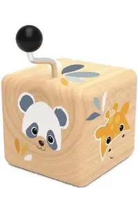 Cutie muzicala: Jungle