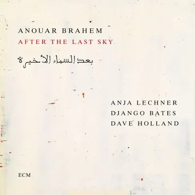 After The Last Sky