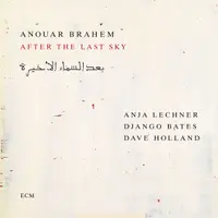 After The Last Sky