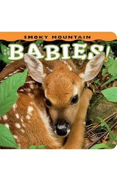 Smoky Mountain Babies!