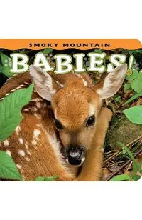 Smoky Mountain Babies!