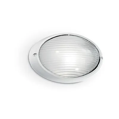 Aplica de exterior Mike mare, 1 bec, dulie E27, L:320 mm, H:205 mm, Alb