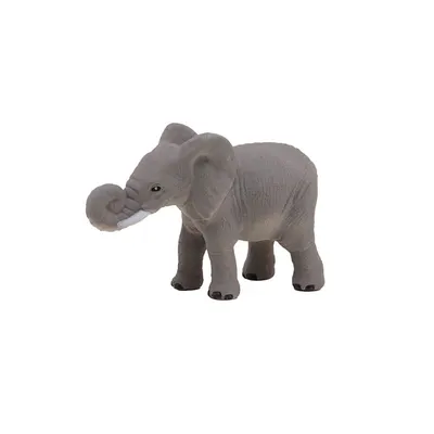 Animal salbatic ce creste, diverse modele