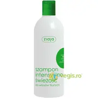 Sampon Prospetime Intensa Cu Menta Si Urzica 400ml