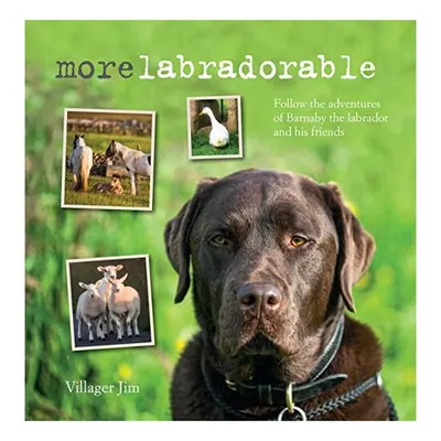 Morelabradorable