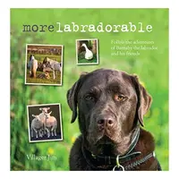 Morelabradorable