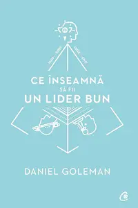 Ce inseamna sa fii un lider bun