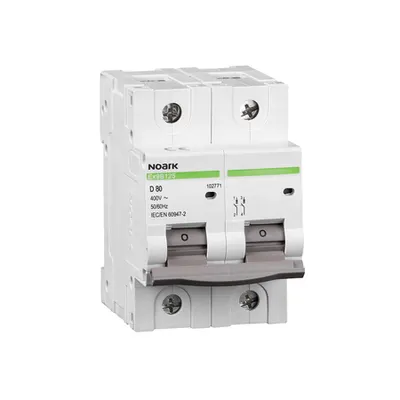 Mini-intreruptoare automate Ex9B125 2P B63A