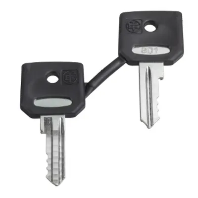 Set de 2 Chei 520E