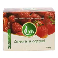 Ceai Zmeura si Capsuni, Larix | 20 plicuri cu supraplic
