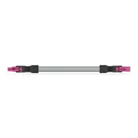 pre-assembled interconnecting cable; Eca; Socket/plug; 2-pole; Cod. B; Control cable 2 x 1.0 mm²; 3 m; 1,00 mm²; pink