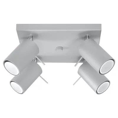 Corp de iluminat pentru tavan RING 4 gri
