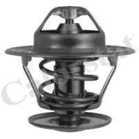 Termostat, lichid racire CALORSTAT by Vernet TH1335.92J
