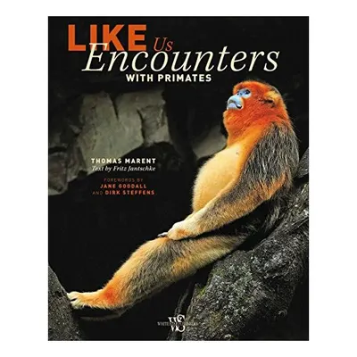 Like us