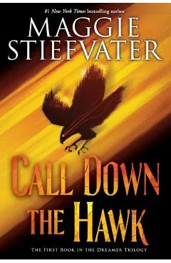 Call Down the Hawk (the Dreamer Trilogy, Book 1), 1