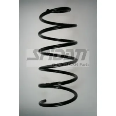 Arc spiral SPIDAN 85690