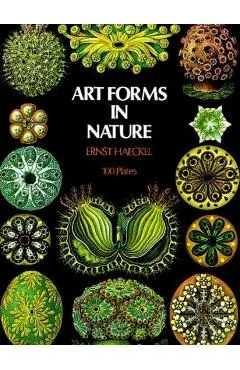 Art Forms in Nature