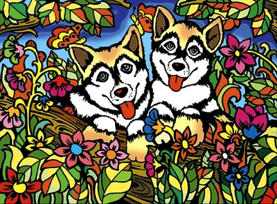 Tablou de colorat ColorVelvet - Husky, 29,7 x 21 cm