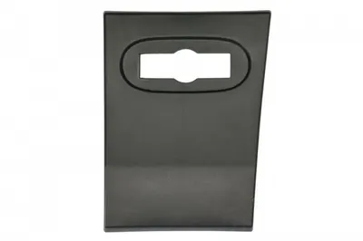 Bandou ornament lateral stanga fata negru cu locas semnalizator potrivit MERCEDES SPRINTER 906 2006-2018