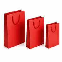 Pungi cadou dreptunghiulare uni - roșu (set 12 buc)