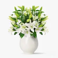 Buchet de 15 crini imperiali albi