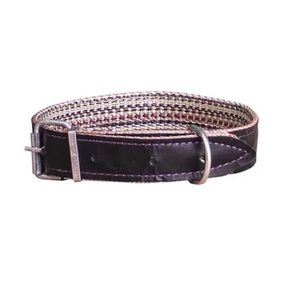 Zgarda Tip Curea pentru Caini, Material Textil, Lungime 61 cm