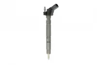 Injector Common Rail Audi A4, A5, A6, A6 Allroad, A7, A8, Q7; Porsche Cayenne, Panamera; Vw Touareg 3.0d 4.2d Dupa 2007
