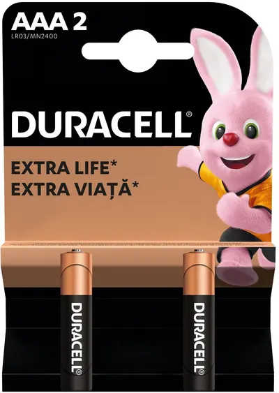 Baterii alcaline Duracell - Basic, AAA, 2 buc.