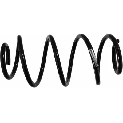 Arc spiral SACHS 994 728