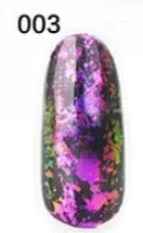 Pigment Unghii Chrome NP013, 2gr - 03