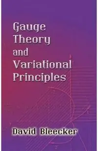 Gauge Theory and Variational Principles