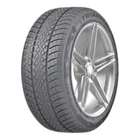 Anvelopa Iarna TRIANGLE TW401 165/60R15 81T