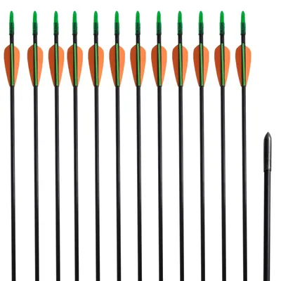 Săgeți pentru arc curbat 30", 0,6 cm, 12 buc., fibră de sticlă