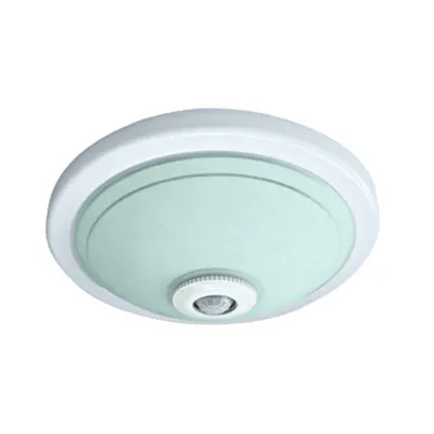 Plafonieră CAT-MS A60 2x25W E27, 360°