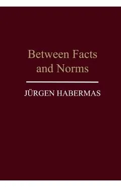 Between Facts and Norms