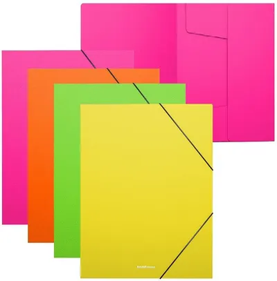 Set de dosare cu bandă elastică Erich Krause - Matt Neon, A4, 4 buc., sortiment