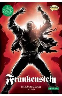 Frankenstein: The Graphic Novel